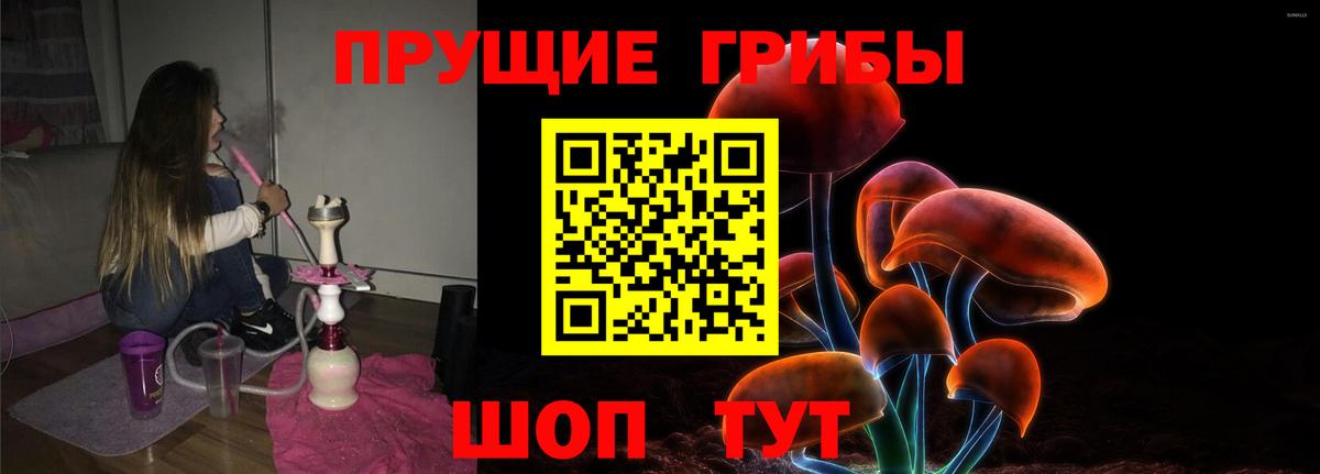 Камышлов  купить   Галлюциногенные грибы ЛСД  Вход с VPN  Галлюциногенные грибы прущие грибы 